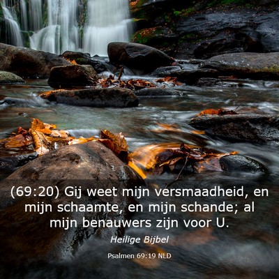 Picture 03 - Psalmen 69:19 NLD - (69:20) Gij weet mijn versmaadheid, en mijn - Bible Verse Picture