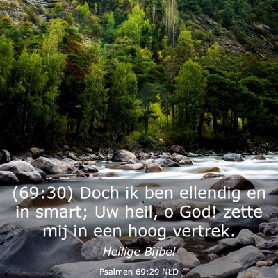 Picture 03 - Psalmen 69:29 NLD - (69:30) Doch ik ben ellendig en in smart; Uw - Bible Verse Picture