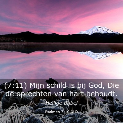 Picture 03 - Psalmen 7:10 NLD - (7:11) Mijn schild is bij God, Die de oprechten - Bible Verse Picture