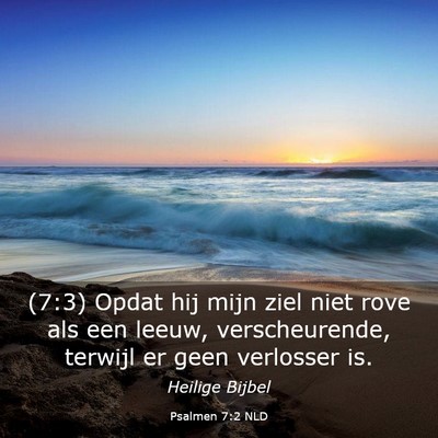 Picture 03 - Psalmen 7:2 NLD - (7:3) Opdat hij mijn ziel niet rove als een - Bible Verse Picture