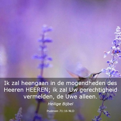 Picture 03 - Psalmen 71:16 NLD - Ik zal heengaan in de mogendheden des Heeren - Bible Verse Picture