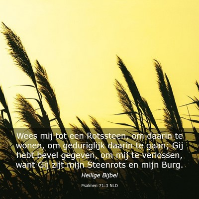 Picture 03 - Psalmen 71:3 NLD - Wees mij tot een Rotssteen, om daarin te wonen, - Bible Verse Picture