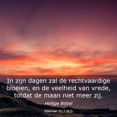 Picture 03 - Psalmen 72:7 NLD - In zijn dagen zal de rechtvaardige bloeien, en de - Bible Verse Picture
