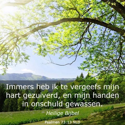 Picture 03 - Psalmen 73:13 NLD - Immers heb ik te vergeefs mijn hart gezuiverd, en - Bible Verse Picture