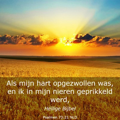Picture 03 - Psalmen 73:21 NLD - Als mijn hart opgezwollen was, en ik in mijn - Bible Verse Picture