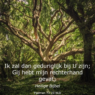 Picture 03 - Psalmen 73:23 NLD - Ik zal dan geduriglijk bij U zijn; Gij hebt mijn - Bible Verse Picture