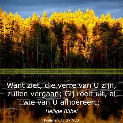 Picture 03 - Psalmen 73:27 NLD - Want ziet, die verre van U zijn, zullen vergaan; - Bible Verse Picture