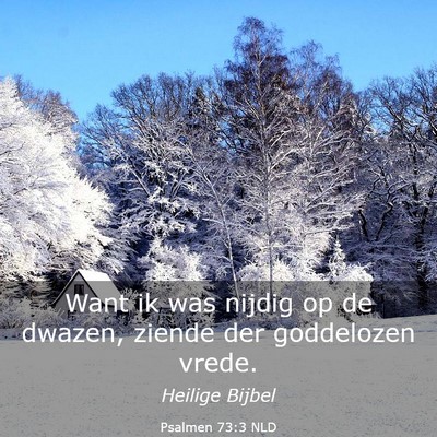 Picture 03 - Psalmen 73:3 NLD - Want ik was nijdig op de dwazen, ziende der - Bible Verse Picture