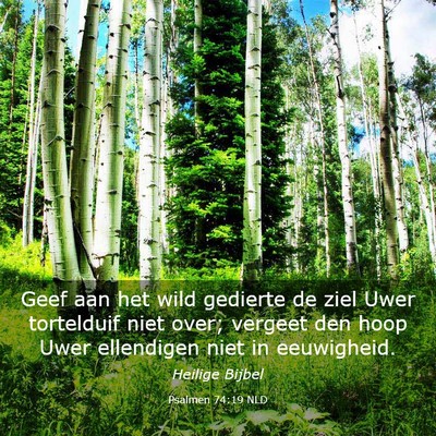 Picture 03 - Psalmen 74:19 NLD - Geef aan het wild gedierte de ziel Uwer - Bible Verse Picture