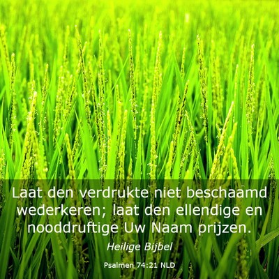 Picture 03 - Psalmen 74:21 NLD - Laat den verdrukte niet beschaamd wederkeren; - Bible Verse Picture