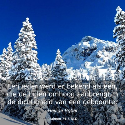 Picture 03 - Psalmen 74:5 NLD - Een ieder werd er bekend als een, die de bijlen - Bible Verse Picture
