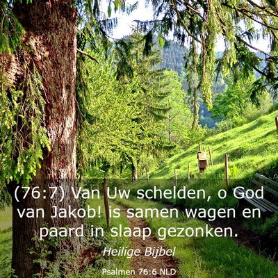 Picture 03 - Psalmen 76:6 NLD - (76:7) Van Uw schelden, o God van Jakob! is samen - Bible Verse Picture