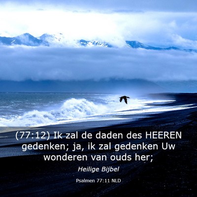 Picture 03 - Psalmen 77:11 NLD - (77:12) Ik zal de daden des HEEREN gedenken; ja, - Bible Verse Picture