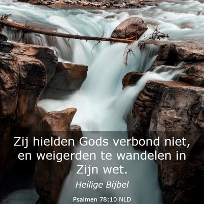 Picture 03 - Psalmen 78:10 NLD - Zij hielden Gods verbond niet, en weigerden te - Bible Verse Picture