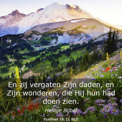 Picture 03 - Psalmen 78:11 NLD - En zij vergaten Zijn daden, en Zijn wonderen, die - Bible Verse Picture