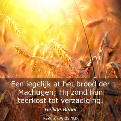 Picture 03 - Psalmen 78:25 NLD - Een iegelijk at het brood der Machtigen; Hij zond - Bible Verse Picture