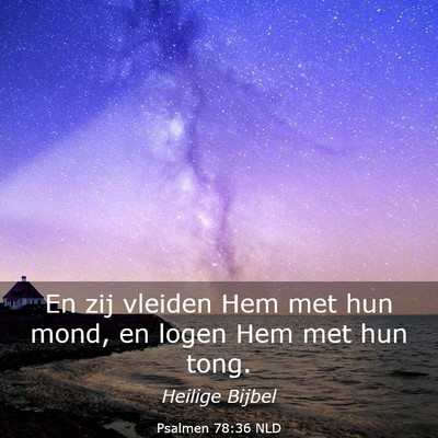 Picture 03 - Psalmen 78:36 NLD - En zij vleiden Hem met hun mond, en logen Hem met - Bible Verse Picture