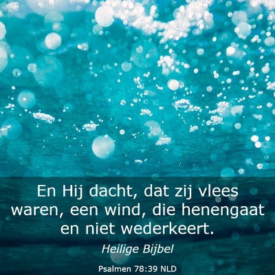 Picture 03 - Psalmen 78:39 NLD - En Hij dacht, dat zij vlees waren, een wind, die - Bible Verse Picture