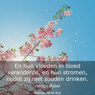 Picture 03 - Psalmen 78:44 NLD - En hun vloeden in bloed veranderde, en hun - Bible Verse Picture
