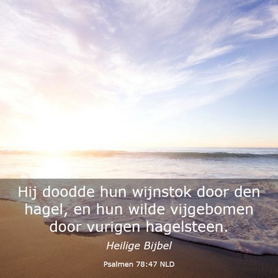 Picture 03 - Psalmen 78:47 NLD - Hij doodde hun wijnstok door den hagel, en hun - Bible Verse Picture