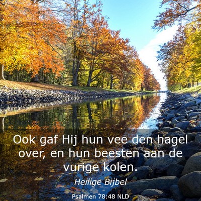 Picture 03 - Psalmen 78:48 NLD - Ook gaf Hij hun vee den hagel over, en hun - Bible Verse Picture