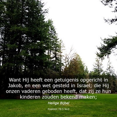 Picture 03 - Psalmen 78:5 NLD - Want Hij heeft een getuigenis opgericht in Jakob, - Bible Verse Picture