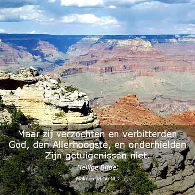 Picture 03 - Psalmen 78:56 NLD - Maar zij verzochten en verbitterden God, den - Bible Verse Picture