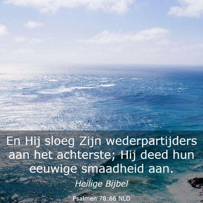 Picture 03 - Psalmen 78:66 NLD - En Hij sloeg Zijn wederpartijders aan het - Bible Verse Picture