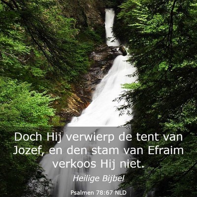 Picture 03 - Psalmen 78:67 NLD - Doch Hij verwierp de tent van Jozef, en den stam - Bible Verse Picture