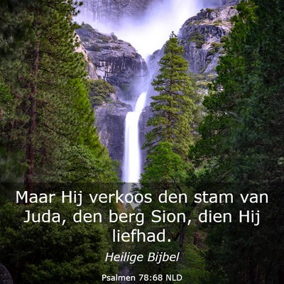 Picture 03 - Psalmen 78:68 NLD - Maar Hij verkoos den stam van Juda, den berg - Bible Verse Picture