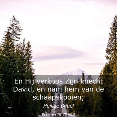 Picture 03 - Psalmen 78:70 NLD - En Hij verkoos Zijn knecht David, en nam hem van - Bible Verse Picture