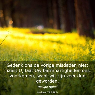 Picture 03 - Psalmen 79:8 NLD - Gedenk ons de vorige misdaden niet; haast U, laat - Bible Verse Picture
