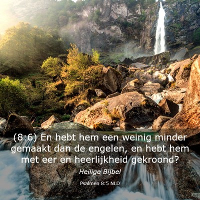Picture 03 - Psalmen 8:5 NLD - (8:6) En hebt hem een weinig minder gemaakt dan - Bible Verse Picture
