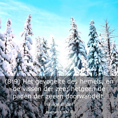Picture 03 - Psalmen 8:8 NLD - (8:9) Het gevogelte des hemels, en de vissen der - Bible Verse Picture