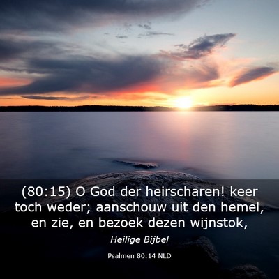 Picture 03 - Psalmen 80:14 NLD - (80:15) O God der heirscharen! keer toch weder; - Bible Verse Picture