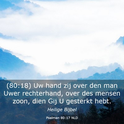 Picture 03 - Psalmen 80:17 NLD - (80:18) Uw hand zij over den man Uwer - Bible Verse Picture