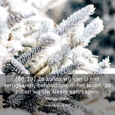 Picture 03 - Psalmen 80:18 NLD - (80:19) Zo zullen wij van U niet terugkeren; - Bible Verse Picture