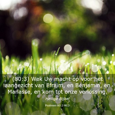 Picture 03 - Psalmen 80:2 NLD - (80:3) Wek Uw macht op voor het aangezicht van - Bible Verse Picture
