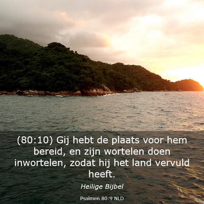 Picture 03 - Psalmen 80:9 NLD - (80:10) Gij hebt de plaats voor hem bereid, en - Bible Verse Picture