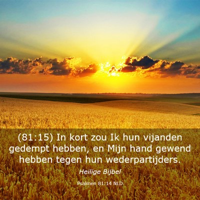 Picture 03 - Psalmen 81:14 NLD - (81:15) In kort zou Ik hun vijanden gedempt - Bible Verse Picture