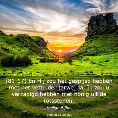 Picture 03 - Psalmen 81:16 NLD - (81:17) En Hij zou het gespijsd hebben met het - Bible Verse Picture