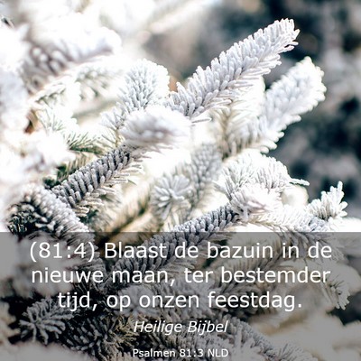 Picture 03 - Psalmen 81:3 NLD - (81:4) Blaast de bazuin in de nieuwe maan, ter - Bible Verse Picture