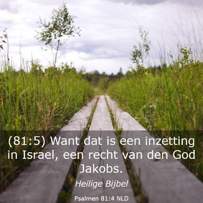 Picture 03 - Psalmen 81:4 NLD - (81:5) Want dat is een inzetting in Israel, een - Bible Verse Picture