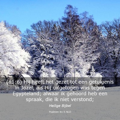 Picture 03 - Psalmen 81:5 NLD - (81:6) Hij heeft het gezet tot een getuigenis in - Bible Verse Picture