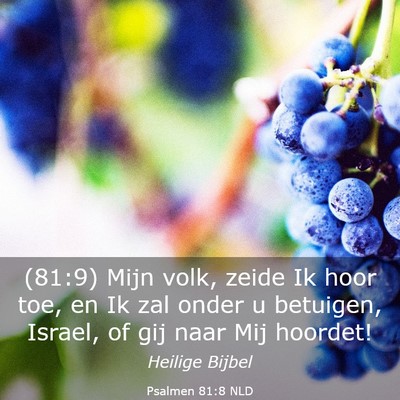 Picture 03 - Psalmen 81:8 NLD - (81:9) Mijn volk, zeide Ik hoor toe, en Ik zal - Bible Verse Picture
