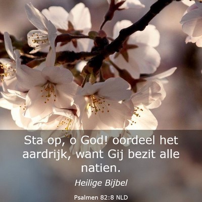 Picture 03 - Psalmen 82:8 NLD - Sta op, o God! oordeel het aardrijk, want Gij - Bible Verse Picture