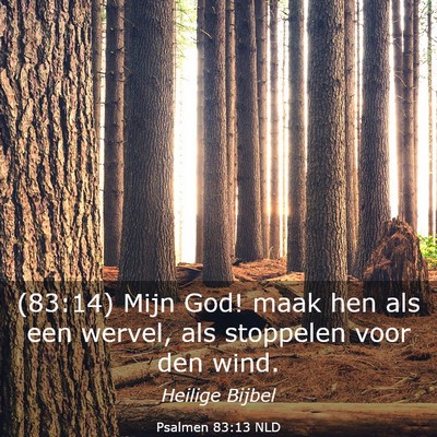 Picture 03 - Psalmen 83:13 NLD - (83:14) Mijn God! maak hen als een wervel, als - Bible Verse Picture