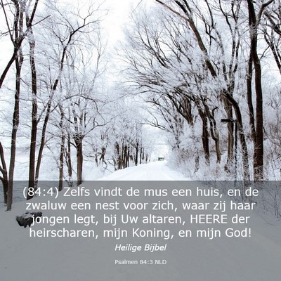 Picture 03 - Psalmen 84:3 NLD - (84:4) Zelfs vindt de mus een huis, en de zwaluw - Bible Verse Picture