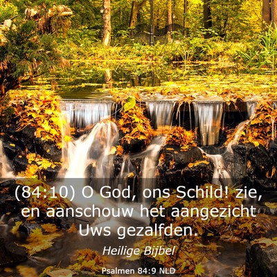Picture 03 - Psalmen 84:9 NLD - (84:10) O God, ons Schild! zie, en aanschouw het - Bible Verse Picture