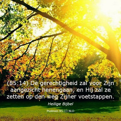 Picture 03 - Psalmen 85:13 NLD - (85:14) De gerechtigheid zal voor Zijn aangezicht - Bible Verse Picture